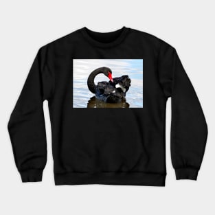 A Beautiful Black Swan Crewneck Sweatshirt